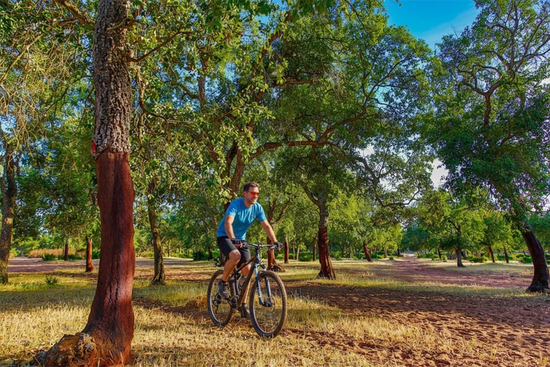Expérience nature et aventure